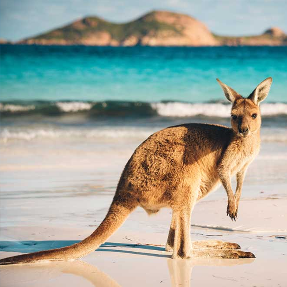 Australia