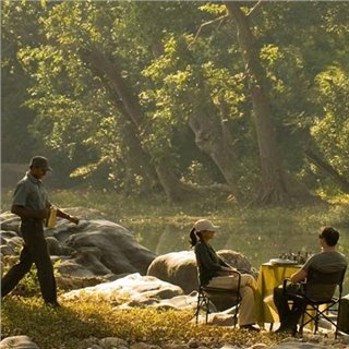 breakfast in woods