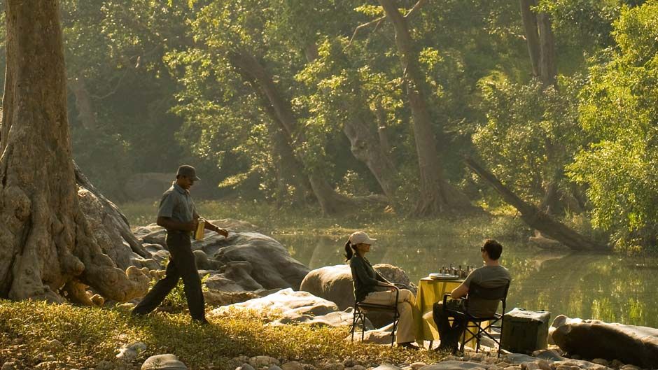 Breakfast in the woods