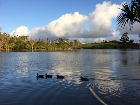 Bois Cheri Lake