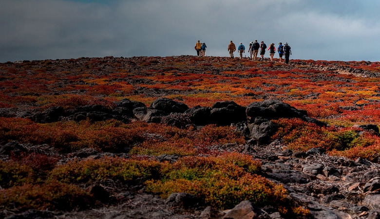 guided walks