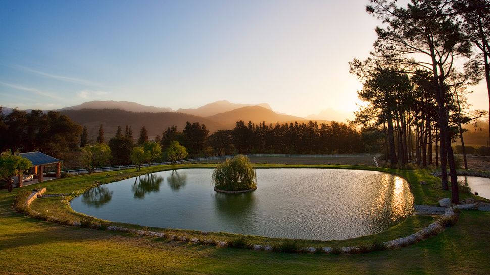 Pond at sunset