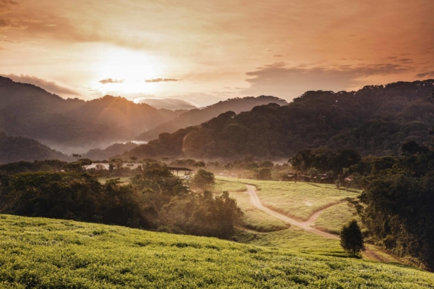 Nyungwe Forest Reserve