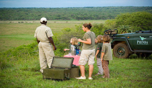 Picnic Safari