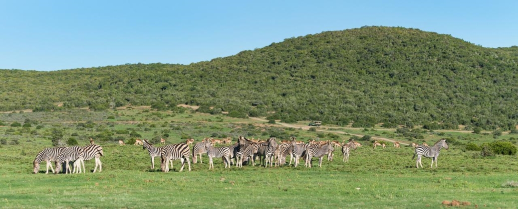 25000 hectare private game reserve