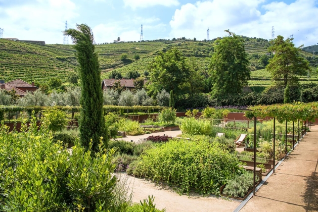 Herb Garden