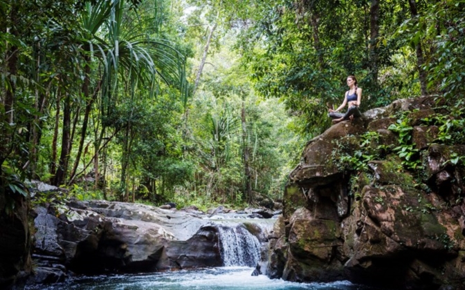 In the rainforest