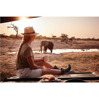 Book 6 nights and pay only for 5 nights when staying between the two Belmond Safaris lodges - Minimum 6 nights to be booked between Savute Elephant Lodge and Eagle Island Lodge.
Light aircraft transfers will be provided between the two lodges.