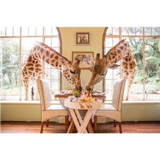 Giraffe Manor